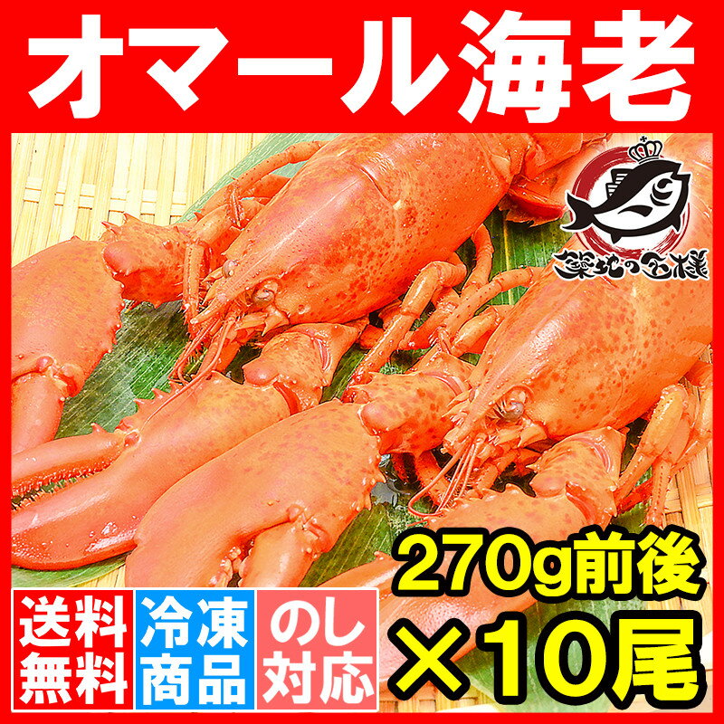 【送料無料】オマール海老 ロブスター 冷凍重量270g前後×10尾 肉厚な高級ボイルロブスター！【ロブスター オマールエビ オマール海老 オマールロブスター 伊勢海老 伊勢えび バーベキュー 築地市場 豊洲市場 ギフト】【smtb-T】rn