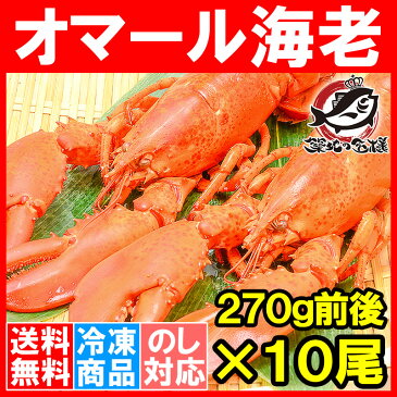 【送料無料】オマール海老 ロブスター 冷凍重量270g前後×10尾 肉厚な高級ボイルロブスター！【ロブスター オマールエビ オマール海老 オマールロブスター 伊勢海老 伊勢えび バーベキュー 築地市場 豊洲市場 ギフト】【smtb-T】