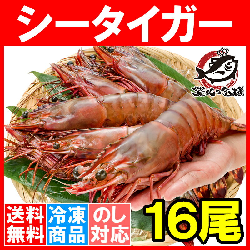 送料無料 シータイガー 16尾 約30cm 1.5kg×2箱 天然 特大 超特大 エビ えび 海老 加熱用 冷凍 BBQ バーベキュー 冷凍海老 ジャンボ エビフライ 海老フライ 天ぷら 巨大 築地市場 豊洲市場 業務用 ギフトrn