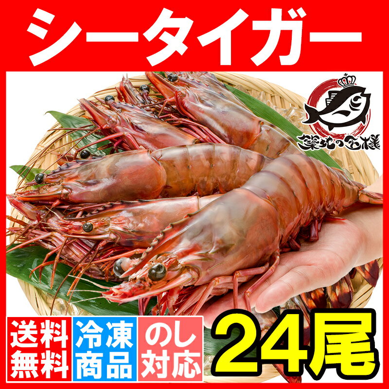 送料無料 シータイガー 24尾 約30cm 1.5kg×3箱 天然 特大 超特大 エビ えび 海老 加熱用 冷凍 BBQ バーベキュー 冷凍海老 ジャンボ エビフライ 海老フライ 天ぷら 巨大 築地市場 豊洲市場 業務用 ギフト