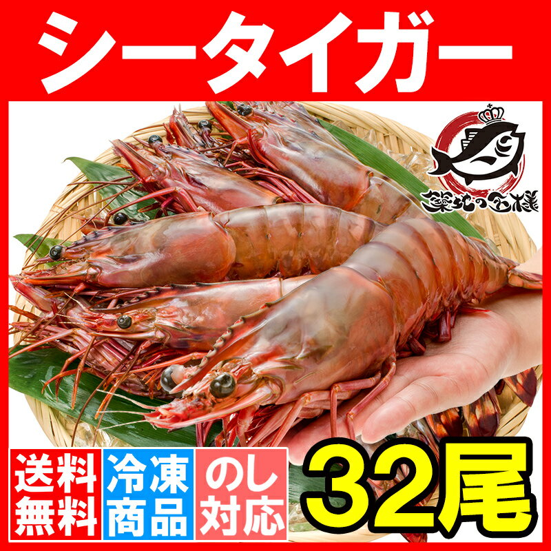 送料無料 シータイガー 32尾 約30cm 1.5kg×4箱 天然 特大 超特大 エビ えび 海老 加熱用 冷凍 BBQ バーベキュー 冷凍海老 ジャンボ エビフライ 海老フライ 天ぷら 巨大 築地市場 豊洲市場 業務用 ギフト