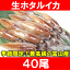 生ホタルイカ ほたるいか 40尾 約150g×2パック お刺身OK!新物ほたるいか。シーズン最盛期!富山産ほたるいかは大きくぷりぷりの食感!【いか イカ ほたるイカ ほたるいか 蛍烏賊 刺身 烏賊 築地市場 ギフト】r