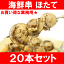 ホタテ20串【ホタテ ほたて 帆立 串揚げ 串焼き 海鮮串 おでん はまぐり ハマグリ つぶ ツブ つぶ貝 貝 あかにし アカニシ貝 サザエ さざえ いいだこ イイダコ タコ バーベキュー】r