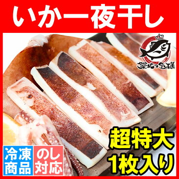 本当にデカイ!超特大!絶品の真いか一夜干し 2枚入 1袋 甘塩手造りの特選クラス。驚きの大きさと身の厚さでとても柔らか!【いか イカ 烏賊 いか一夜干し イカ一夜干し 干物 珍味 築地市場 豊洲市場 ギフト】r