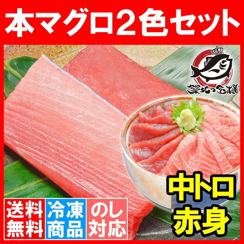 【送料無料】本マグロ 本まぐろ 中トロ 200g 赤身 200g セット 築地の王様ブランドまぐろ 通が唸る本マグロの真髄赤身と人気1番中トロを極める！【本鮪 鮪 まぐろ マグロ クロマグロ 刺身 寿司 海鮮丼 冷凍 築地市場 豊洲市場 maguro ギフト】【smtb-T】【あす楽】rn