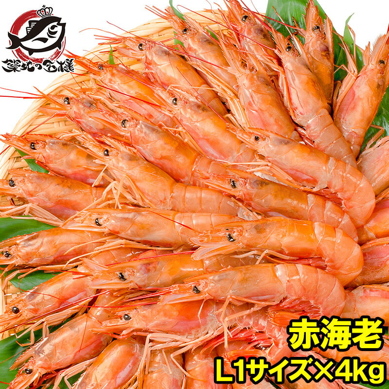 送料無料 赤海老 赤えび 4kg 超特大 L1 20〜40尾 業務用 2kg×2箱・4kg お刺身用 ぼたん海老を超える希少な超特大！大きくプリプリの赤海老は甘みが違う。赤えび 赤エビ あかえび アカエビ アルゼンチン 寿司 バーベキュー BBQ 築地市場 豊洲市場