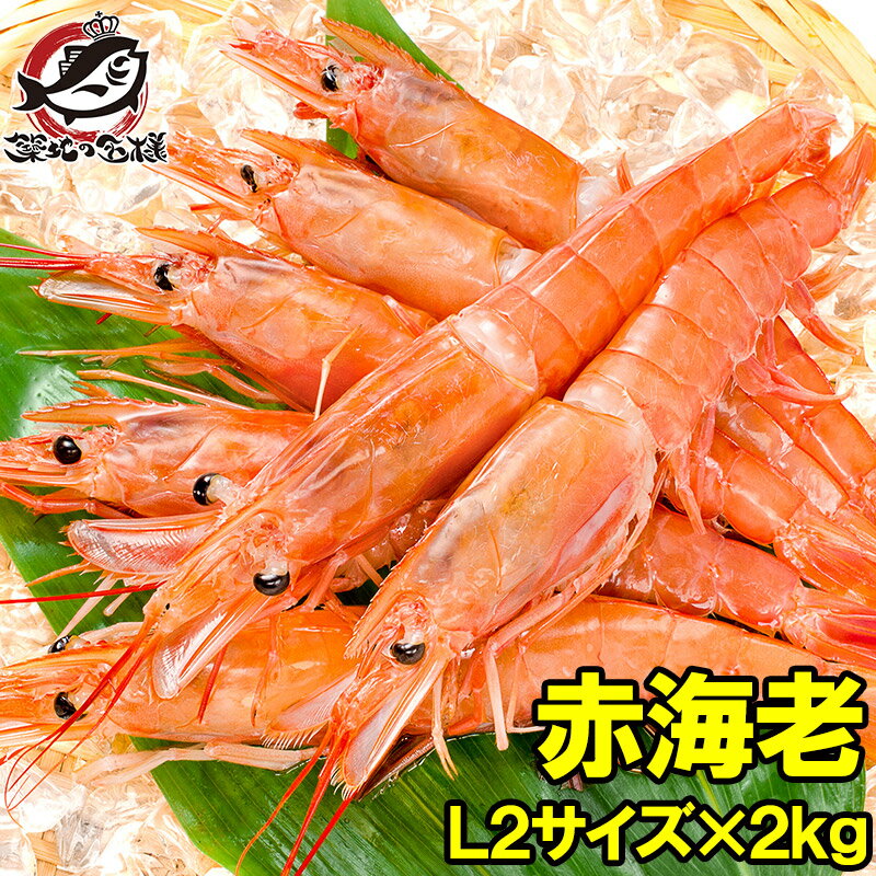 送料無料 赤海老 赤えび 2kg 特大 L2 40〜60尾 業務用 1箱 お刺身用 ぼたん海老を超える希少な超特大！大きくプリプリの赤海老は甘みが違う。赤えび 赤エビ あかえび アカエビ アルゼンチン 寿司 バーベキュー BBQ 築地市場 豊洲市場