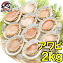 送料無料 あわび Lサイズ 2kg 合計24個 1箱12個入り 殻つきお刺身用アワビ 高級料亭でも使用する新鮮な殻付きあわび あわび アワビ 鮑 お造り バター...
