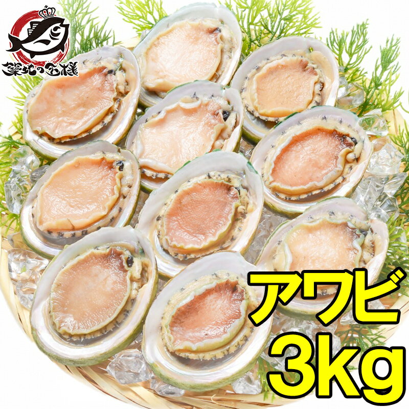 送料無料 あわび Lサイズ 3kg 合計36個 1箱12個入