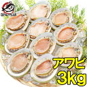 送料無料 あわび Lサイズ 3kg 合計36個 1箱12個入り 殻つきお刺身用アワビ 高級料亭でも使用する新鮮な殻付きあわび あわび アワビ 鮑 お造り バター...