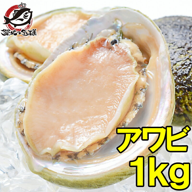 あわび Lサイズ 1kg 1箱12個入り 殻つきお刺身用アワビ 高級料亭でも使用する新鮮な殻付きあわび あわび アワビ 鮑 お造り バター焼き ステーキ おせち 翡翠の瞳 貝柱 築地市場 豊洲市場 寿司 海鮮 おせち 単品おせち ギフト