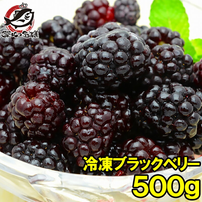 送料無料 冷凍ブラックベリー 500g×1パック 弾けるブラックベリーをたっぷりと ブラックベリー 冷凍ブラックベリー …