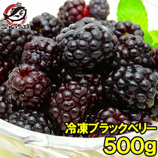 ブラックベリー Kitchen Infosite ブラックベリー Kitchen Infosite