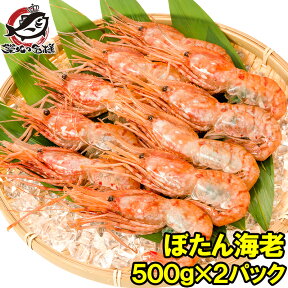 ぼたん海老 1kg 業務用 500g ×2パック お刺身用 ボタン海老 希少な特大Lサイズ。大きくトロけるボタン海老は甘みが違う。 箱入りで豪華ギフトにも最適 ぼたんえび ぼたんエビ ボタンエビ ボタンえび バーベキュー 築地市場 豊洲市場 おせち 単品おせち ギフト