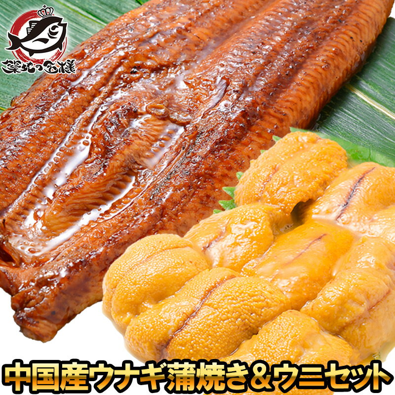 うにうなぎセット ＜梅＞ 超特大！うなぎ蒲焼き 平均330g前後×2尾 生ウニ 100g タレ付き 柔らかうなぎと生ウニの贅沢セット うなぎ ウナギ 鰻 うな丼 うな重 ひつまぶし 土用の丑 ウニ うに ギフト 築地市場 豊洲市場 おせち 単品おせちのサムネイル