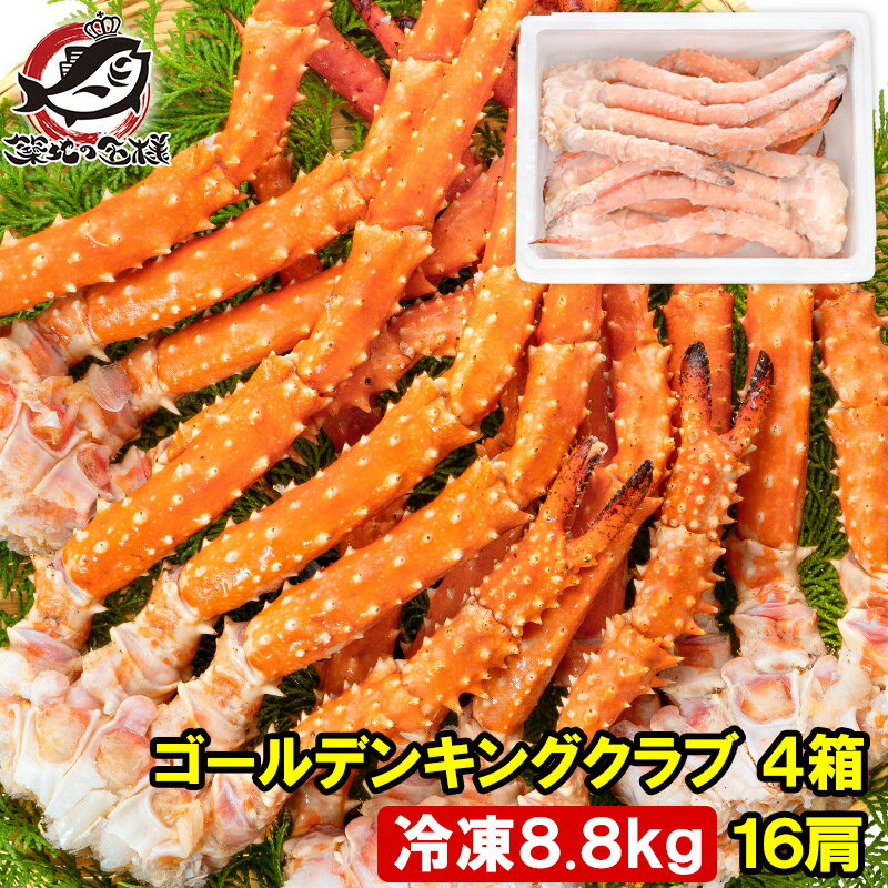 送料無料 ゴールデンキングクラブ 4箱 冷凍総重量 8.8kg 合計16~20肩 解凍後 7.2kg タラバガニにも負けない旨味 タラバガニ科 イバラガニ 正規品 ボイル冷凍 足 肩セクション かに カニ 蟹 豊洲市場 カニ鍋 焼きガニ かに脚 ギフト 贈答用 お歳暮 単品おせち 海鮮おせち