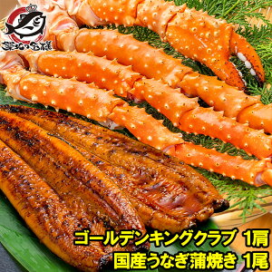 お歳暮 土用の丑 ギフト 送料無料 ゴールデンキングクラブ&ウナギセット ゴールデンキングクラブ5L 1kg & 国産うなぎ蒲焼き 平均165g前後 タラバガニ科 イバラガニ 正規品 かに カニ 蟹 うなぎ ウナギ 鰻 うな丼 うな重 ひつまぶし 豊洲市場 贈答用 お中元 お歳暮
