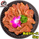 送料無料 牛ロース ロース 焼肉 合計 5kg 500g×10パック 業務用 熟成牛 熟成肉 味付け ロース肉 牛肉 肉 お肉 アメリカ産 カナダ産 鉄板焼き ステーキ BBQ バーベキュー お中元 お歳暮 築地市場 豊洲市場 ギフトrn