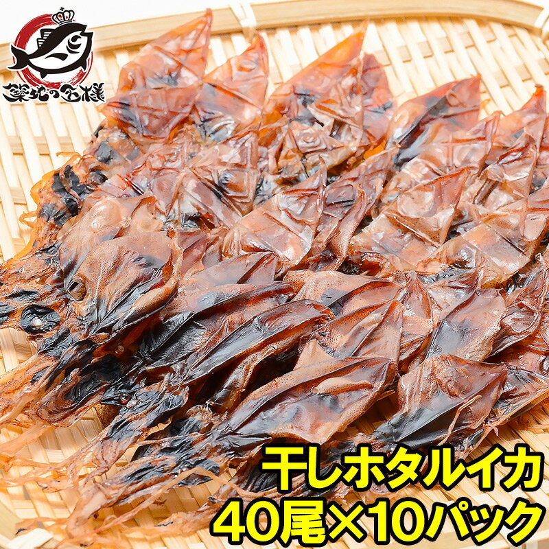 送料無料 ホタルイカ 素干し 干しほたるいか40尾×10パック シーズン最盛期の富山産ほたるいか干物は大きくて旨みが凝縮 ほたるいか ほ..