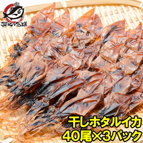 ホタルイカ 素干し 干しほたるいか40尾×3パック シーズン最盛期の富山産ほたるいか干物は大きくて旨みが凝縮!【ほたるいか ほたるイカ 蛍烏賊 イカ一夜干し イカ燻製 新物 築地市場 豊洲市場 ギフト】rn
