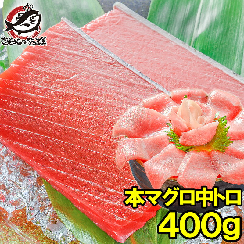 送料無料 本マグロ 本まぐろ 中トロ 400g 正規品 築地