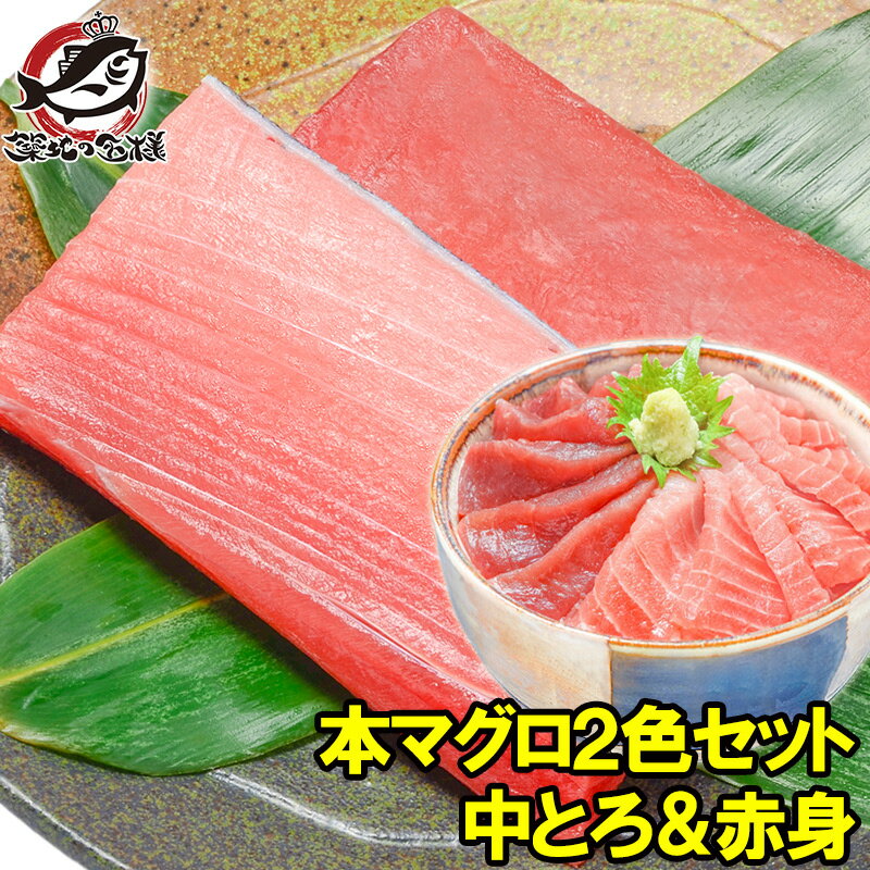 【送料無料】本マグロ 本まぐろ 中トロ 200g 赤身 200g セット 築地の王様ブランドまぐろ 通が唸る本マグロの真髄赤身と人気1番中トロを極める！【本鮪 鮪 まぐろ マグロ クロマグロ 刺身 寿司 海鮮丼 冷凍 築地市場 豊洲市場 maguro ギフト】【smtb-T】【あす楽】rn