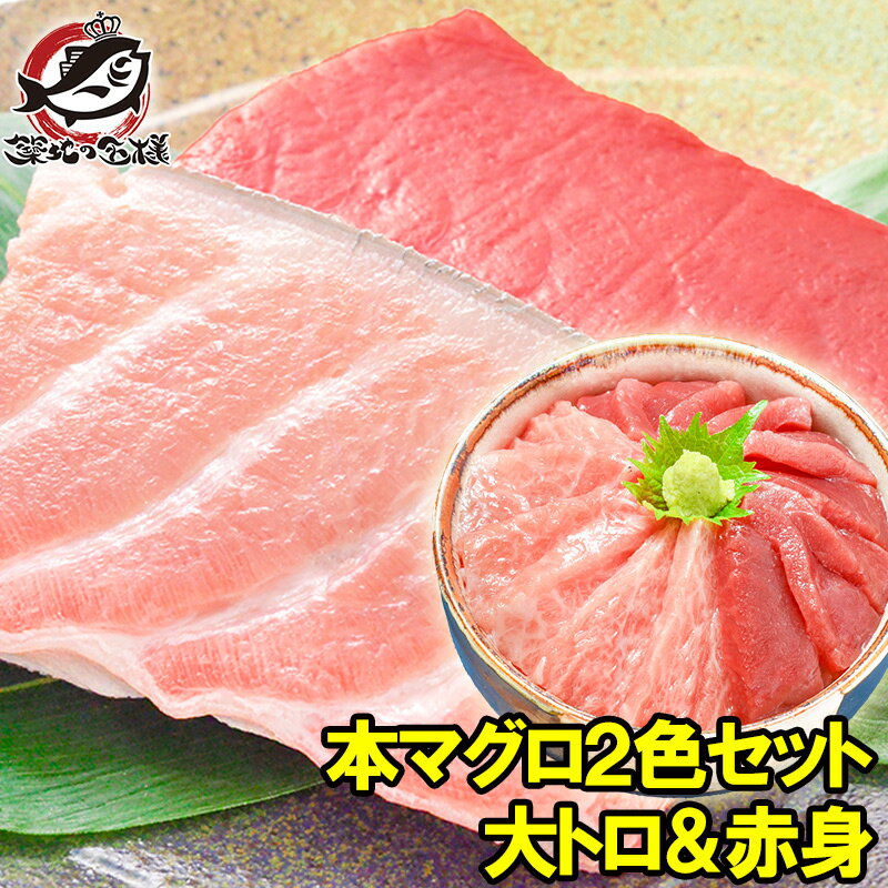 本マグロNo.18