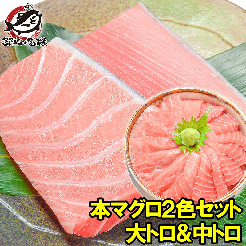 本マグロNo.11