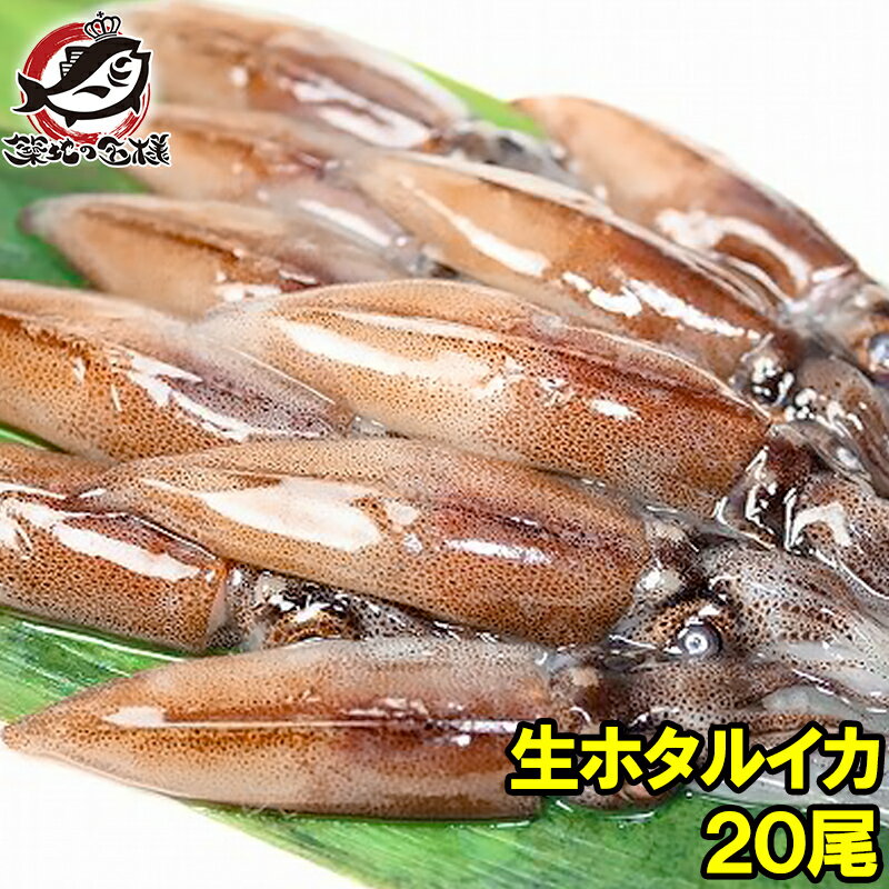 生ホタルイカ ほたるいか 20尾 約150g お刺身OK！新物ほたるいか。シーズン最盛期！富山産ほたるいかは..