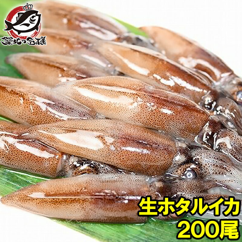 送料無料 生ホタルイカ ほたるいか 200尾 約150g×10パック お刺身OK！新物ほたるいか。シーズン最盛期！富山産ほたるいかは大きくぷりぷりの食感 いか イカ ほたるイカ ほたるいか 蛍烏賊 刺身 烏賊 築地市場 豊洲市場 ギフト