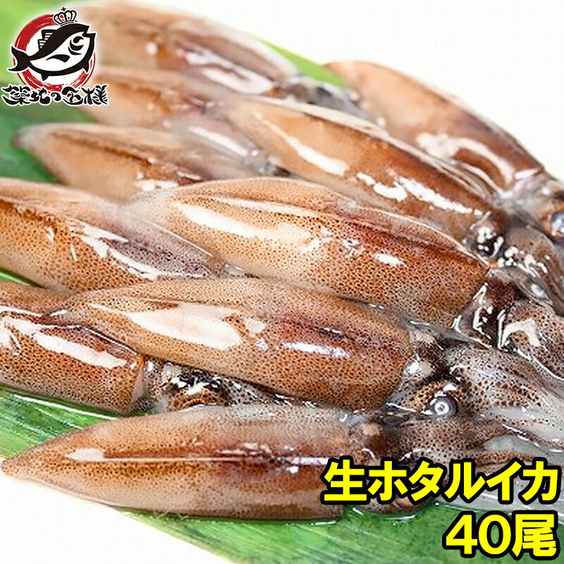 生ホタルイカ ほたるいか 40尾 約150g×2パック お刺身O...