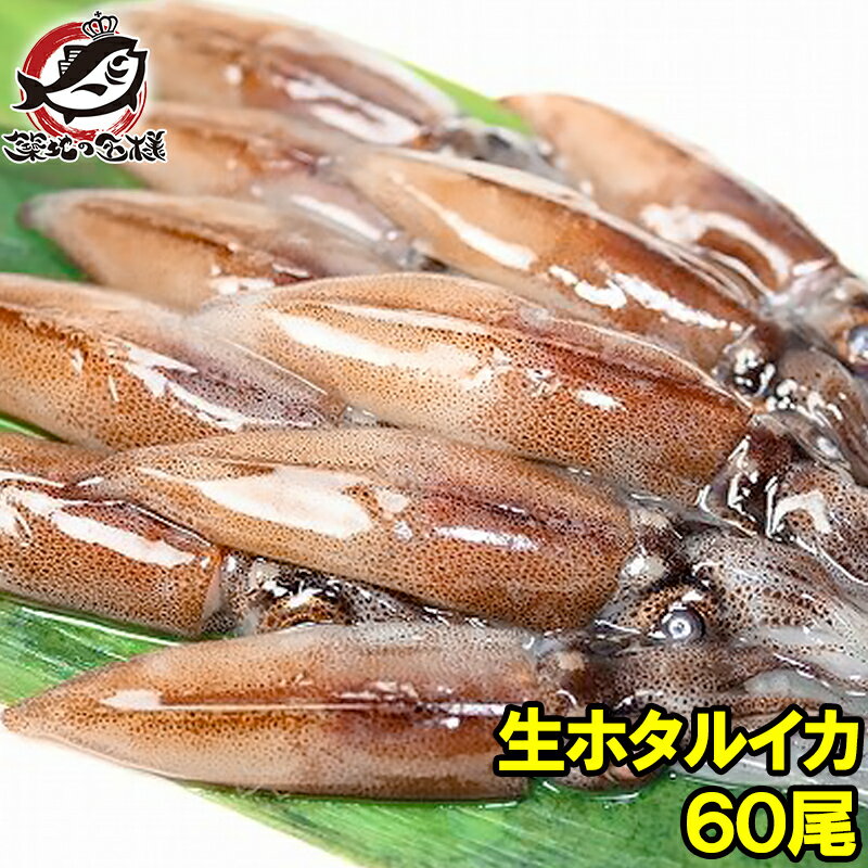 生ホタルイカ ほたるいか 60尾 約150g×3パック お刺身O...