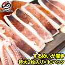 送料無料 いか イカ イカ焼き 本当にデカイ！特大いか開き 2枚入り×10袋 甘塩手造りの特選クラス 驚きの大きさと身の厚さでとても柔らか 北海道産 するめいか するめいか開き イカ干し 烏賊 干物 珍味 豊洲市場 ギフト