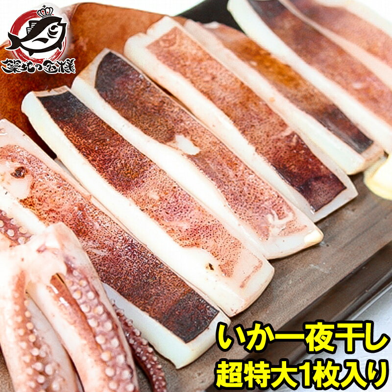 本当にデカイ！超特大！絶品のいか一夜干し 2枚入 1袋 甘塩手造りの特選クラス。驚きの大きさと身の厚さでとても柔らか！【いか イカ 烏賊 するめいか するめいか開き いか一夜干し イカ一夜干し 干物 珍味 築地市場 豊洲市場 ギフト】r