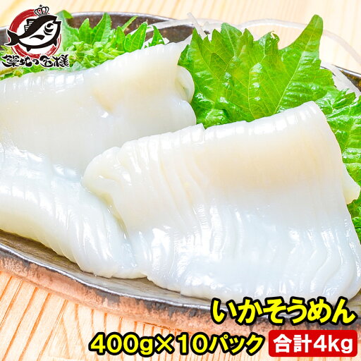 送料無料 国産 いかそうめん イカソーメン 合計4kg 400g×10パック 解凍するだけで便利!鮮度抜群のイカ刺し イカソーメンをたっぷり約8人前 するめいか スルメイカ いか イカ 烏賊 刺身 いか刺し イカ刺し いかソーメン 刺身 築地市場 豊洲市場 ギフト 送料無料 国産 いかそうめん イカソーメン 合計4kg 400g×10パック 解凍するだけで便利!鮮度抜群のイカ刺し イカソーメンをたっぷり約8人前 するめいか スルメイカ いか イカ 烏賊 刺身 いか刺し イカ刺し いかソーメン 刺身 築地市場 豊洲市場 ギフト