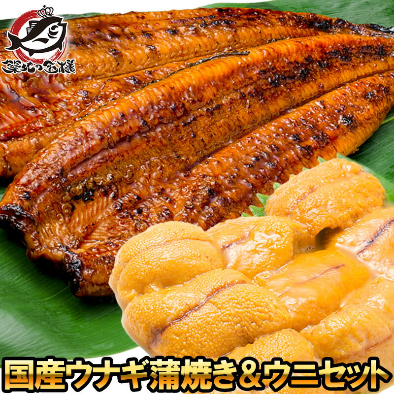 うにうなぎセット ＜竹＞ 特大国産うなぎ蒲焼き 平均165g