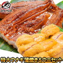 うにうなぎセット ＜松＞ 超特大国産うなぎ蒲焼き 平均250g前後×2尾 生ウニ 100g タレ付き 柔らかうなぎと生ウニの贅沢セット うなぎ ..