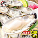 広島産 カキ 牡蠣 1kg 大粒 牡蠣むき身 Lサイズ 殻剥き不要＆小さくなりにくい加熱用で濃厚な風味です 冷凍生牡蠣 冷凍 生牡蠣 かき カ..