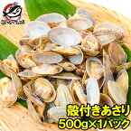 あさり アサリ 500g ボイル 殻付き 柔らかく旨味があり、とても良いダシが出ます 浅蜊 あさりごはん クラムチャウダー ボンゴレ あさりバター炒め 深川めし あさりの味噌汁 むき身 業務用 冷凍 築地市場 豊洲市場 あさり料理