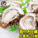 送料無料 生牡蠣 殻付き 生食用カキ 生牡蠣 24個入り 冷凍殻付き牡蠣 生食用 新製法で冷凍なのに生食可能な殻付き牡蠣 冷凍 生ガキ かき カキ 牡蛎 焼き牡...