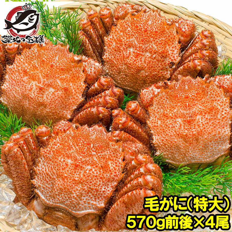 送料無料 特大 毛ガニ 毛蟹 浜茹で毛がに姿 平均570g前後×4尾 ボイル 冷凍 北海道産 最高級 堅蟹 身もカニ味噌もぎっしり!築地の正規品堅ガニ かに カ...