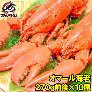 【送料無料】オマール海老 ロブスター 冷凍重量270g前後×10尾 肉厚な高級ボイルロブスター！【ロブスター オマールエビ オマール海老 オマールロブスター 伊勢海老 伊勢えび バーベキュー 築地市場 豊洲市場 ギフト】【smtb-T】