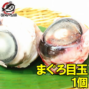 築地の極上！まぐろ目玉 1個 鮪はDHAやコラーゲンたっぷり、肉付きが良いマグロの目玉【まぐろのめだま 鮪 まぐろ マグロ メバチマグロ メバチまぐろ めばちまぐろ 目鉢まぐろ コラーゲン 築地市場】r