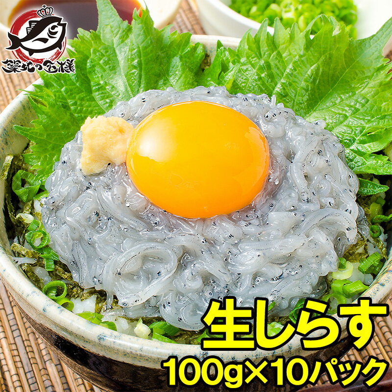 送料無料 生しらす 生シラス 1kg 100g×10パック 約20人前 超新鮮な無添加の国産天然生しらす！極上の生..