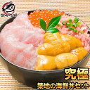 送料無料 海鮮福袋 築地の海鮮丼セット 究極 約3〜4人前 