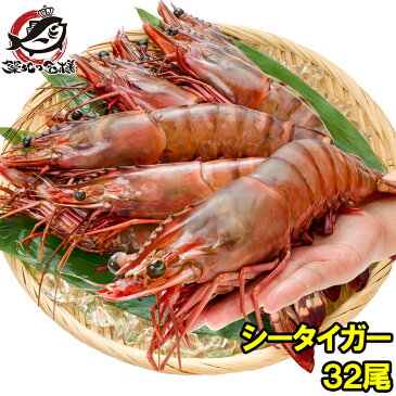 送料無料 シータイガー 32尾 約30cm 1.5kg×4箱 天然 特大 超特大 エビ えび 海老 加熱用 冷凍 BBQ バーベキュー 冷凍海老 ジャンボ エビフライ 海老フライ 天ぷら 巨大 築地市場 豊洲市場 業務用 ギフト