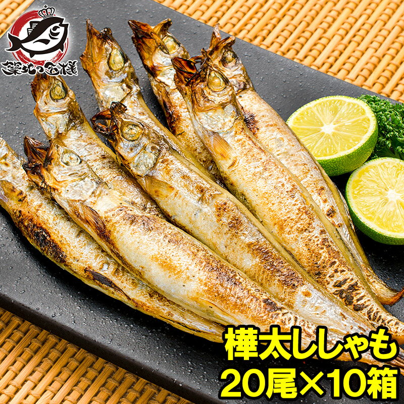 送料無料 子持ちししゃも 子持ちからふとししゃも 大サイズ 1箱20尾 ×10箱 業務用 ししゃも シシャモ 樺太シシャモ カラフトシシャモ ノルウェー産 子持ちししゃも 柳葉魚 カルシウム 焼魚 食べる小魚 酒の肴 築地市場 豊洲市場 ギフト