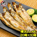 送料無料 子持ちししゃも 子持ちからふとししゃも 大サイズ 1箱20尾 ×10箱 業務用 ししゃも シシャモ 樺太シシャモ …