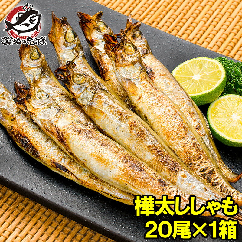 子持ちししゃも 子持ちからふとし