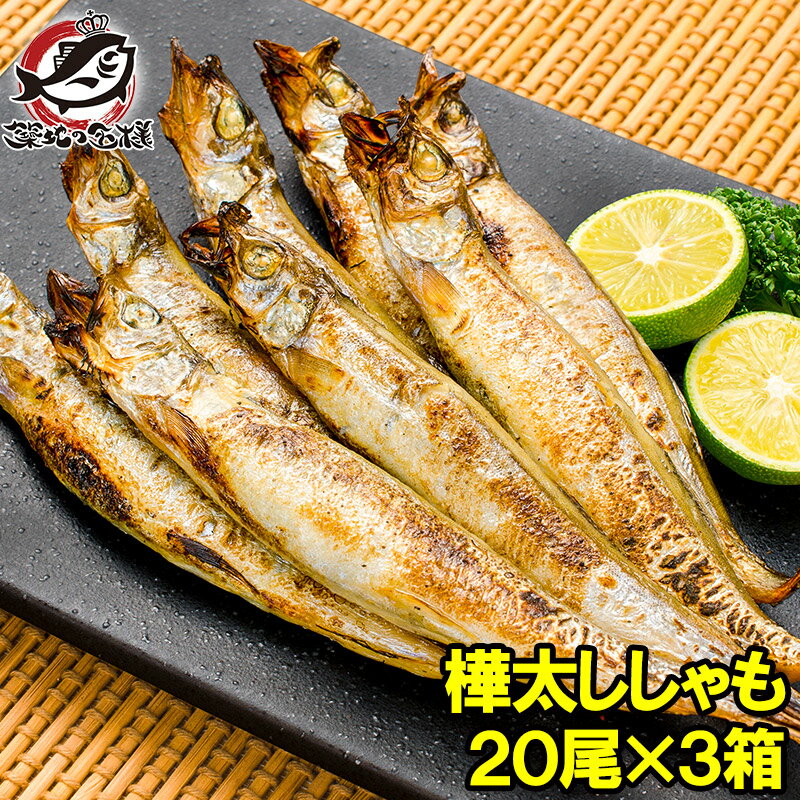 子持ちししゃも 子持ちからふとししゃも 大サイズ 1箱20尾 ×3箱 業務用 ししゃも シシャモ 樺太シシャ..